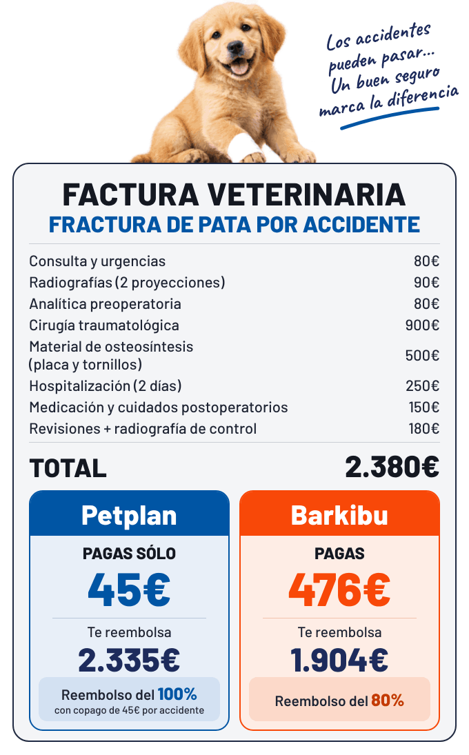 Comparar Petplan y Barkibu
