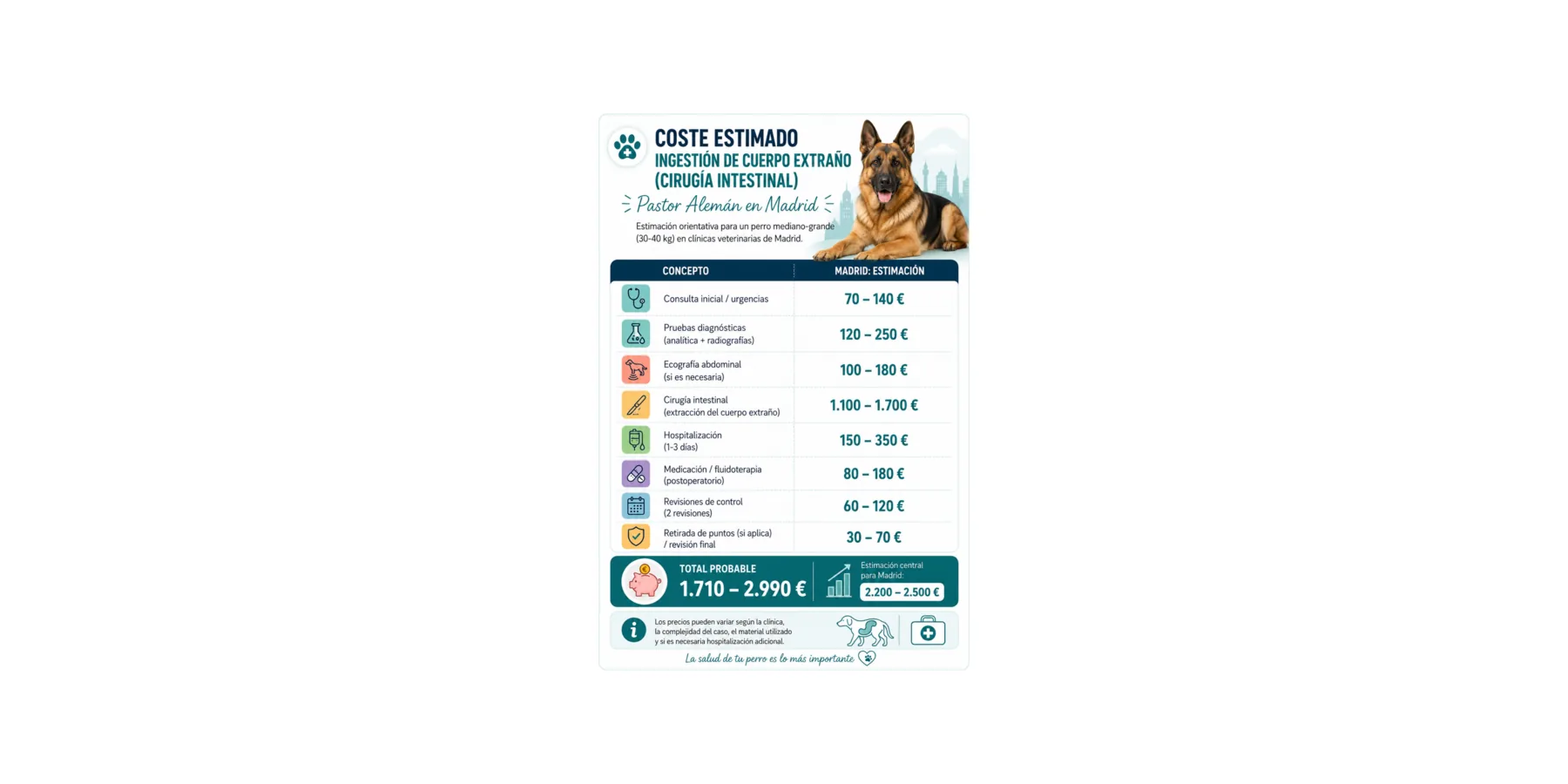 Ingestion cuerpo extraño costes veterinarios