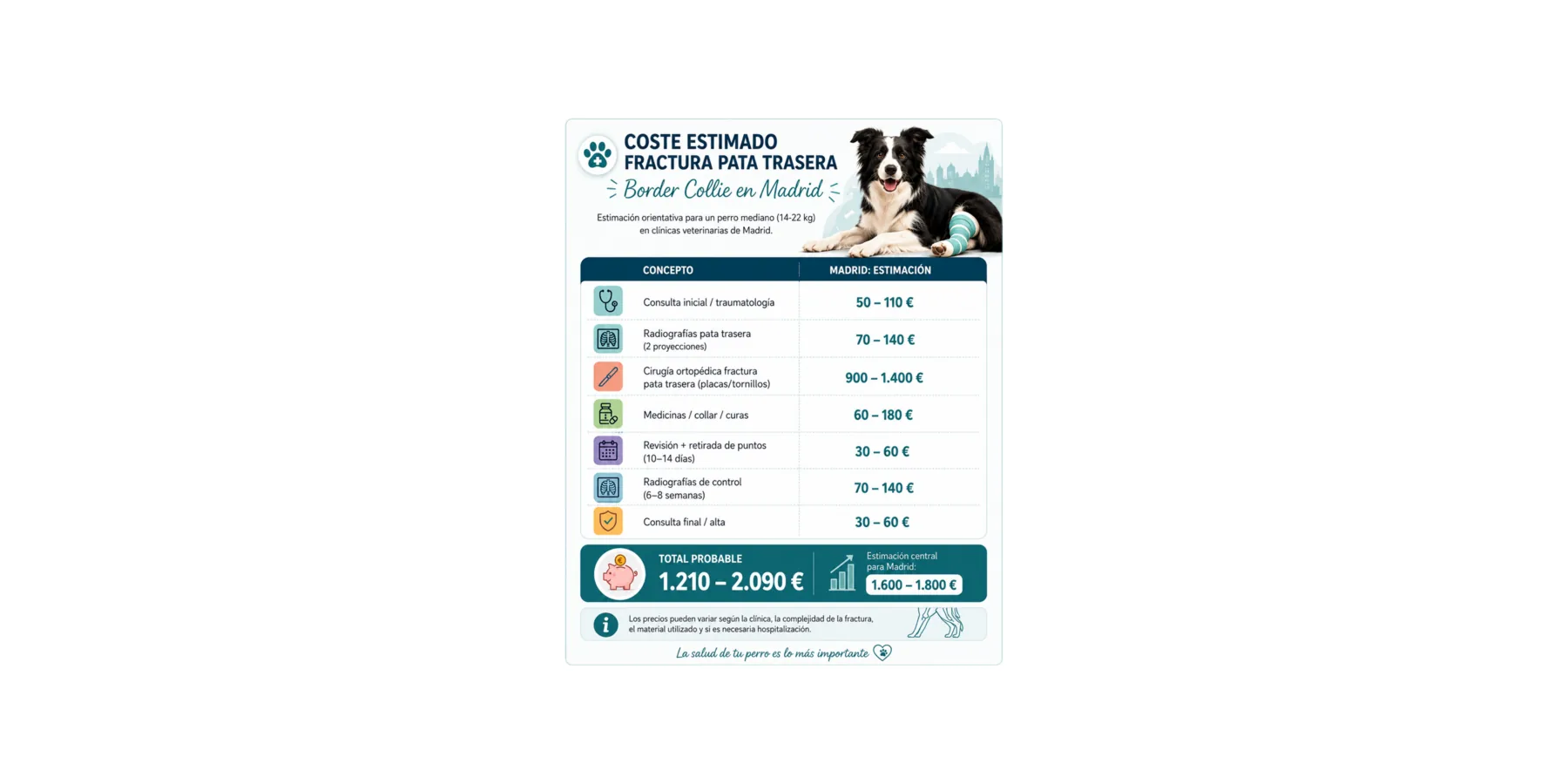 Fractura de pata trasera perro costes veterinarios