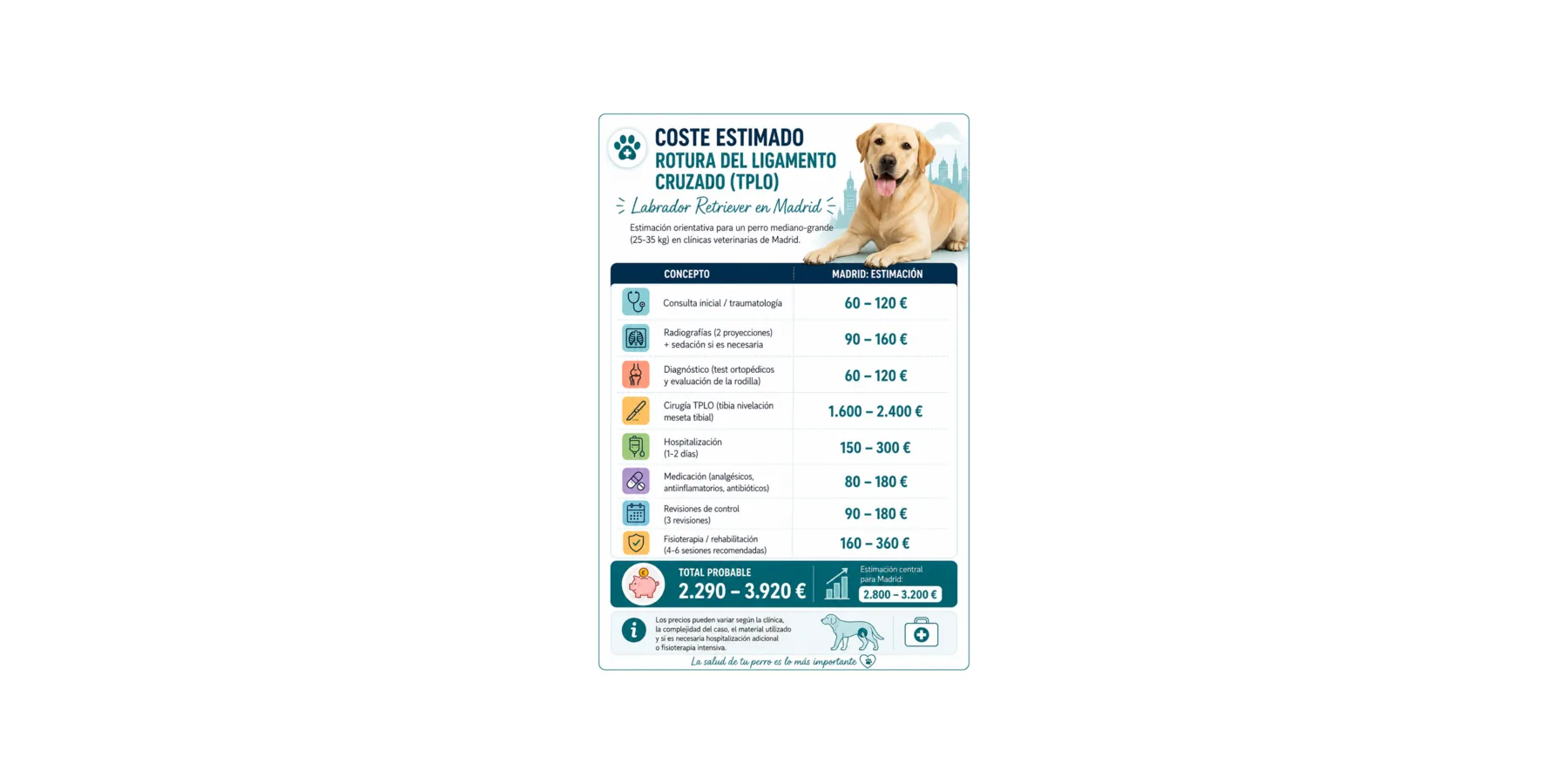 rotura de ligamento perro costes veterinarios