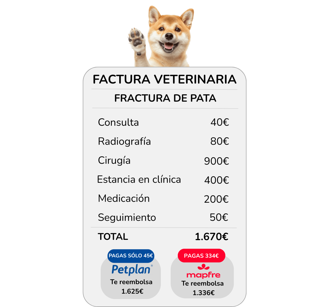 Comparar Petplan con Mapfre