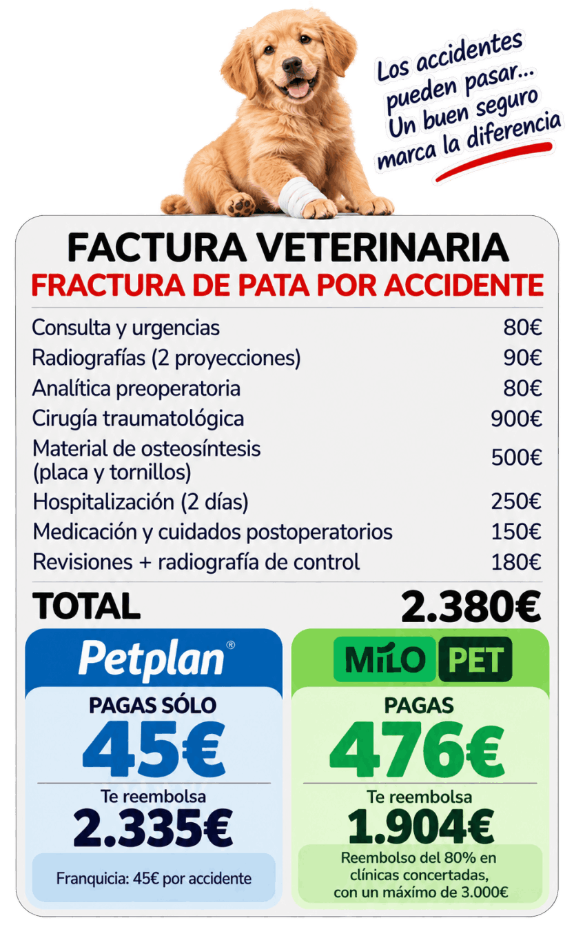 Comparar Petplan con Milo