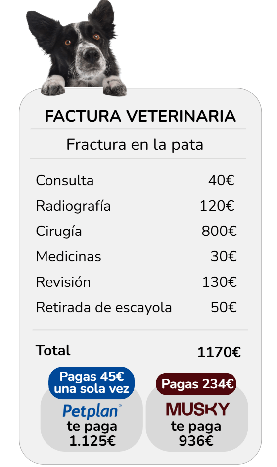 Comparar Petplan y Musky