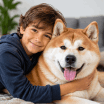 Compara Petplan con Tuio