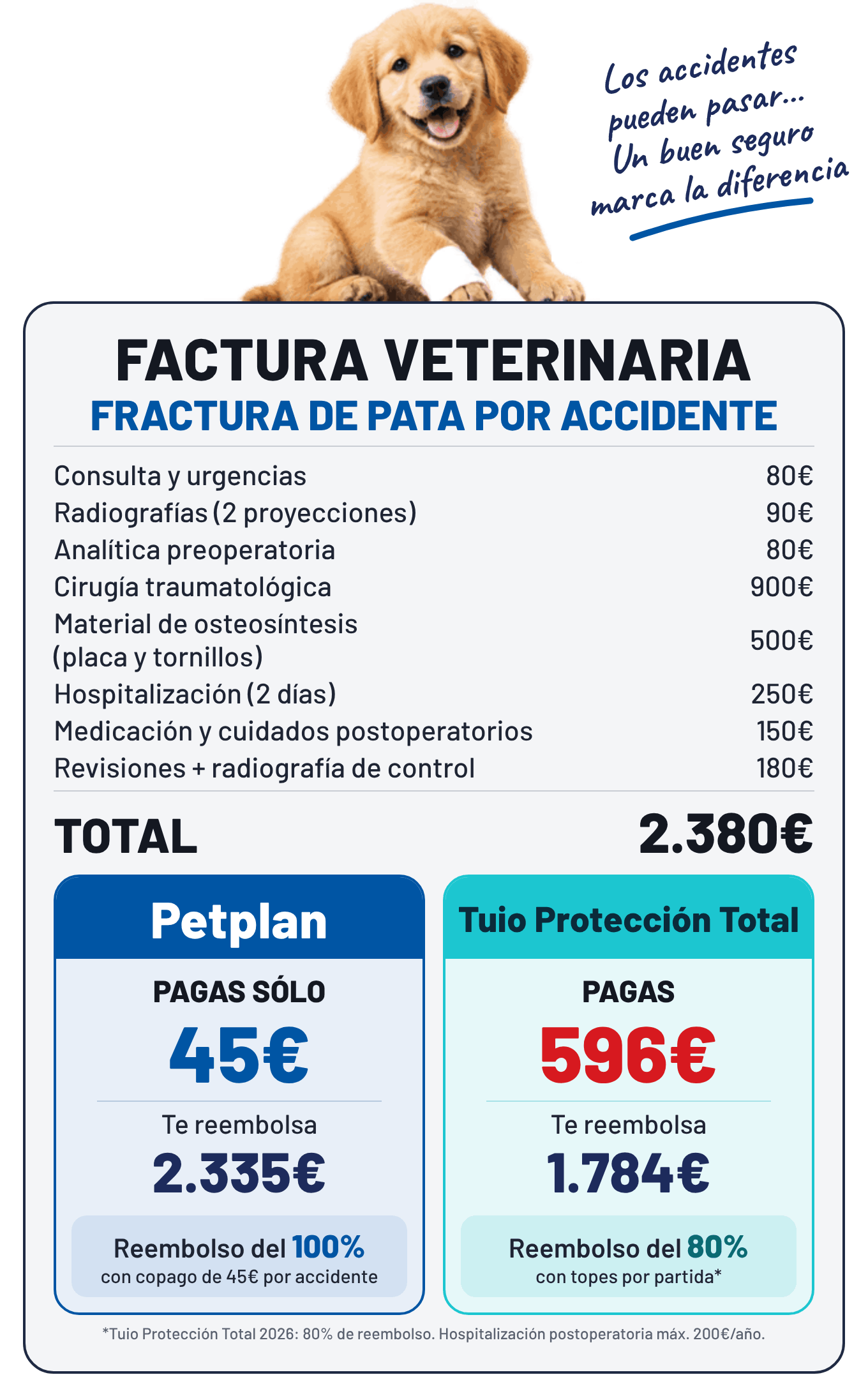 Comparativa Petplan y Tuio: factura veterinaria de fractura de pata