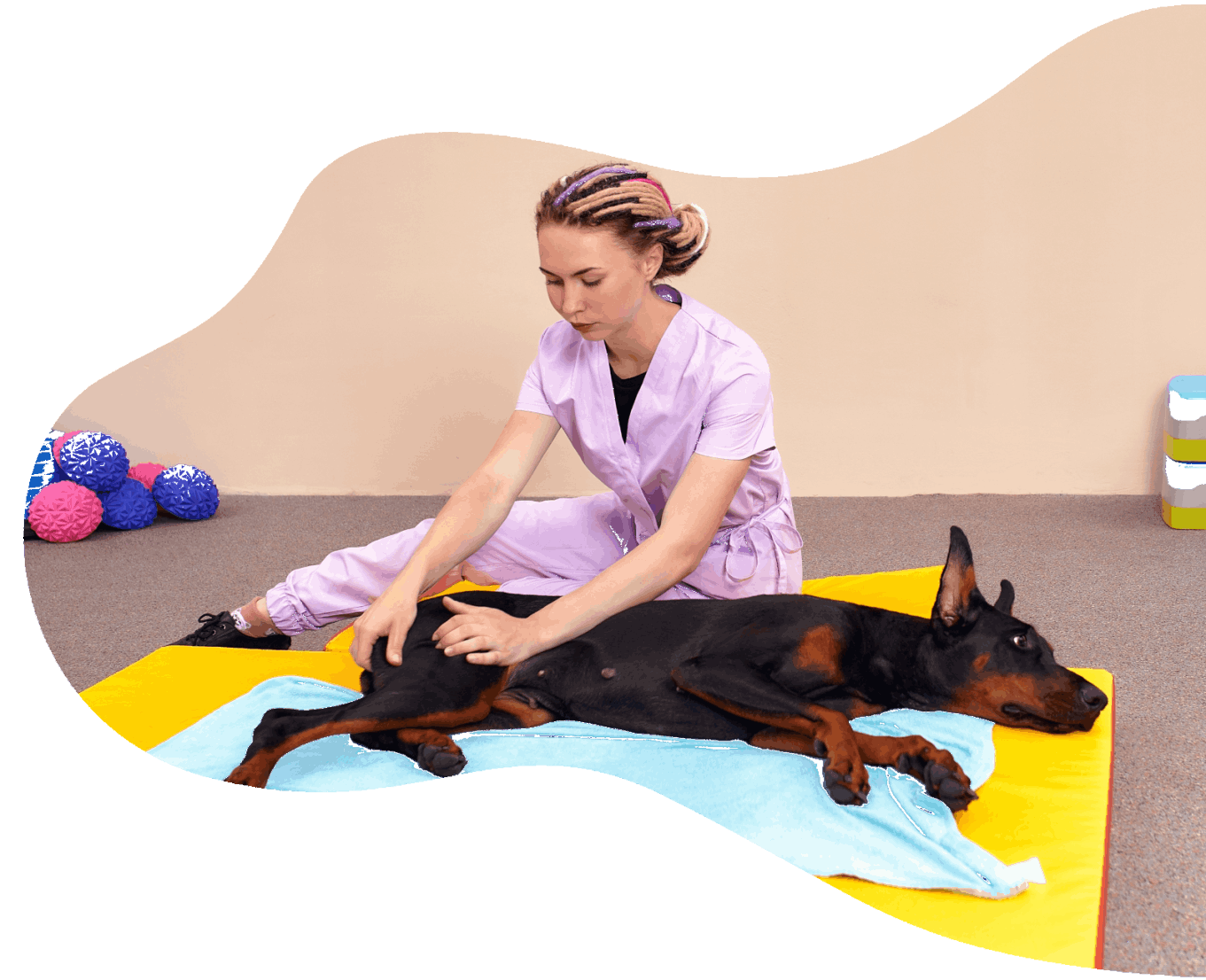 Fisioterapia de Perros