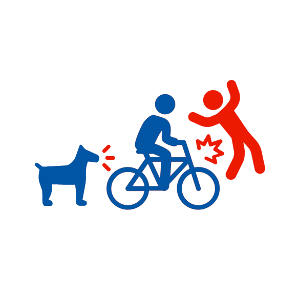 Protegete de las travesuras de tu perro