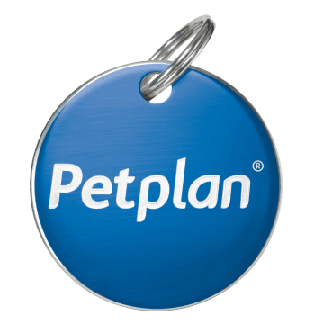 Petplan.es