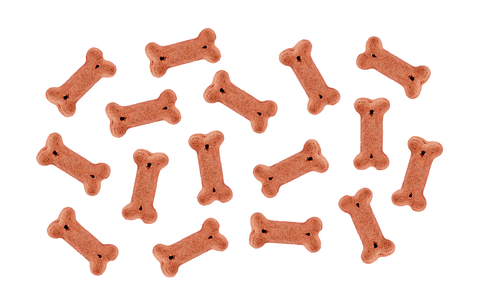 Mascotas
