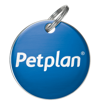 Petplan Seguros Mascotos