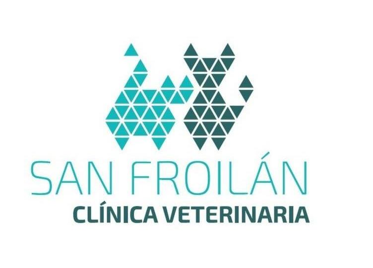 cvsanfroilan