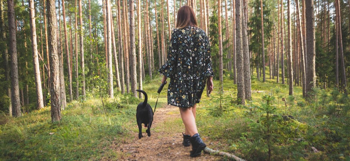 Persona paseando a su perro por un bosque