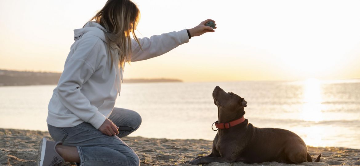 young-woman-enjoying-some-time-with-her-dog