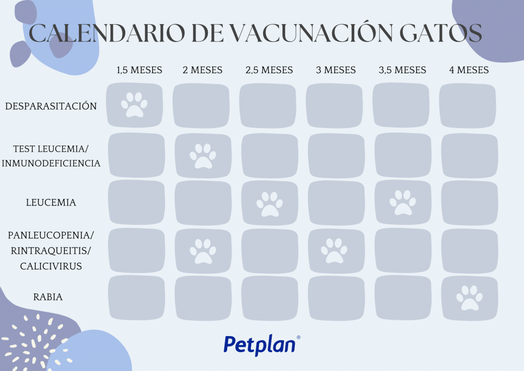 calendario vacunación mascota