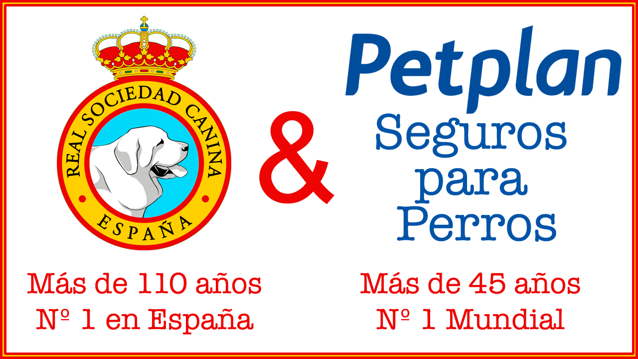 Real Sociedad Canina España Petplan