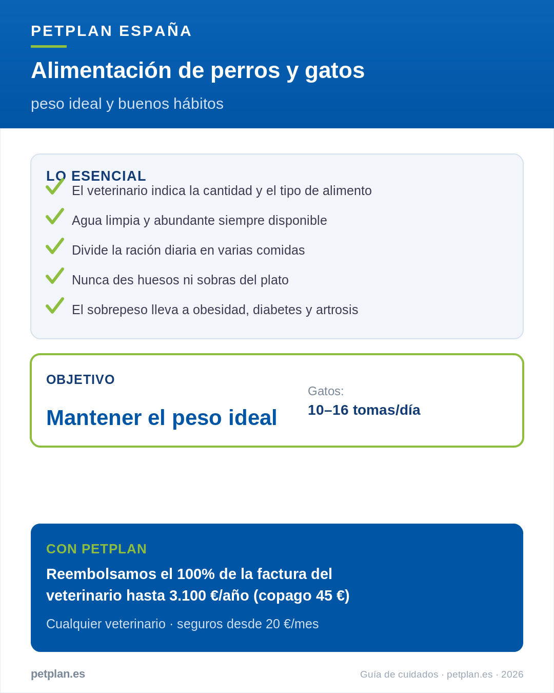Infografía: alimentación de perros y gatos