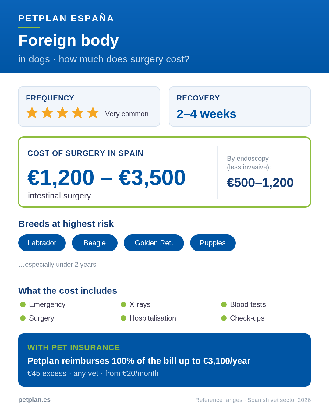 Infographic: cost of foreign body surgery for a dog in Spain