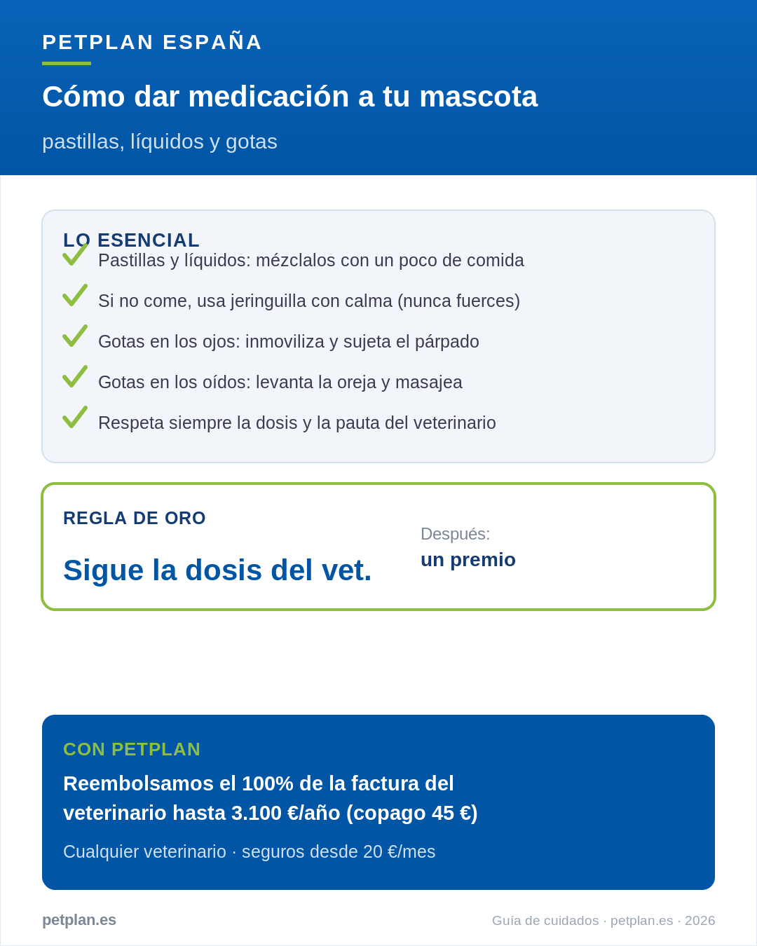 Infografía: cómo dar medicación a tu mascota