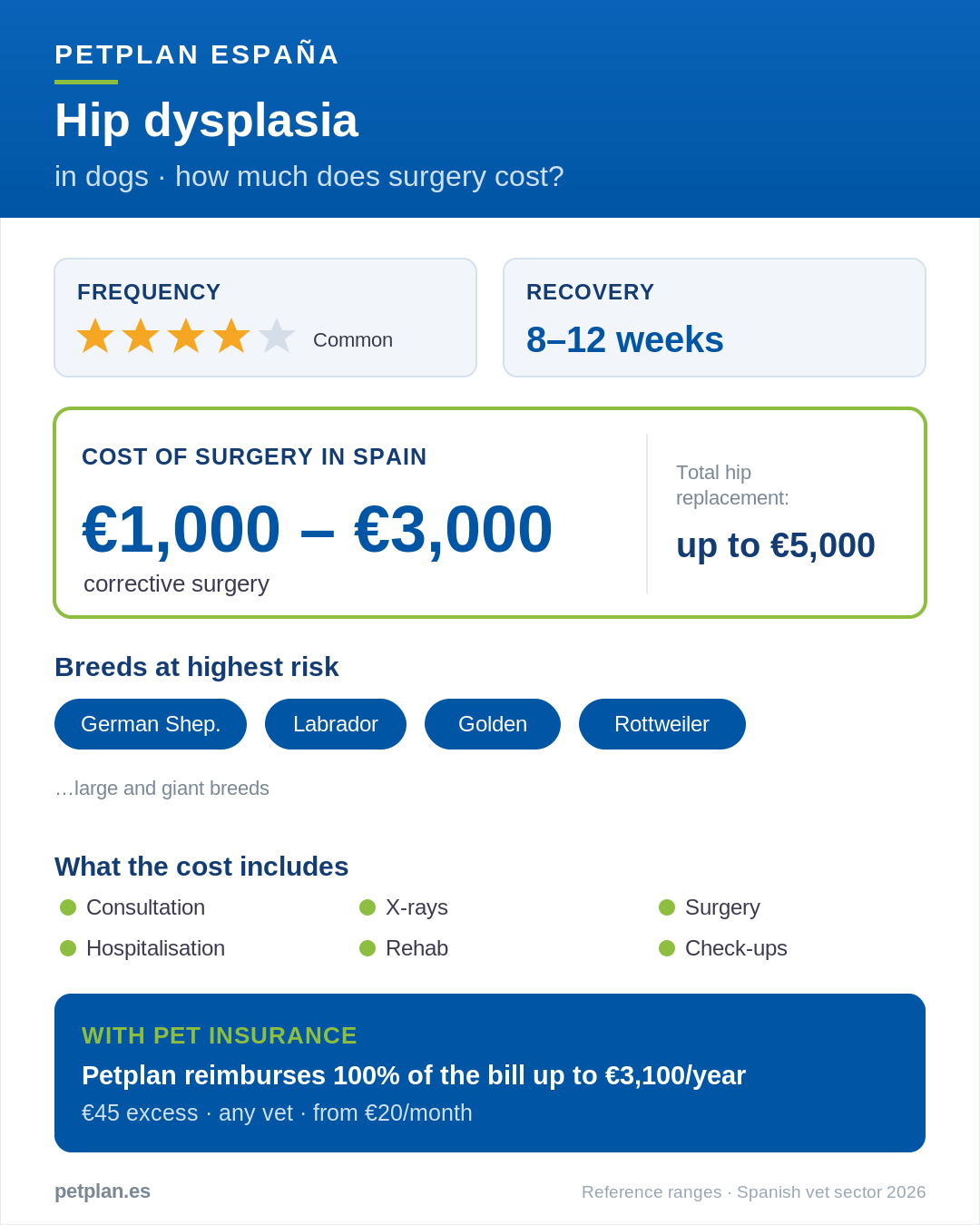 Infographic: cost of hip dysplasia surgery for a dog in Spain