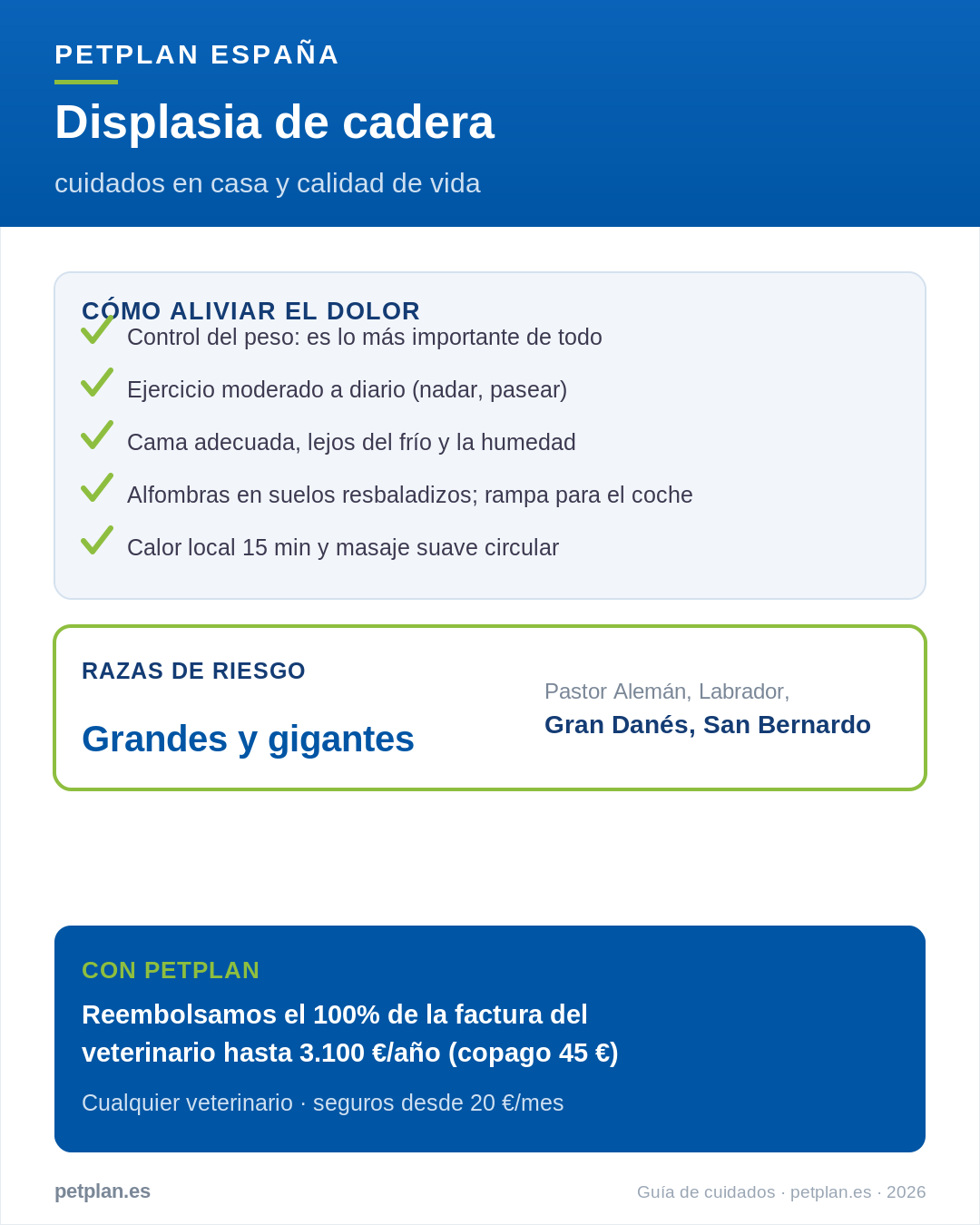 Infografía: cuidados en casa para un perro con displasia de cadera