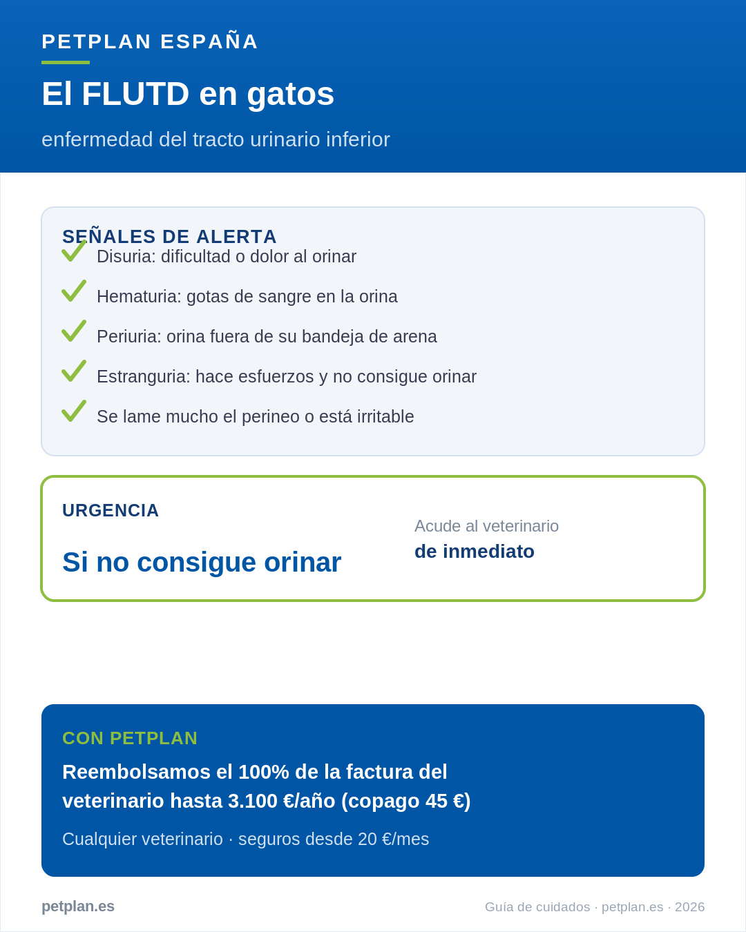 Infografía: FLUTD en gatos, señales de alerta y cuándo acudir al veterinario