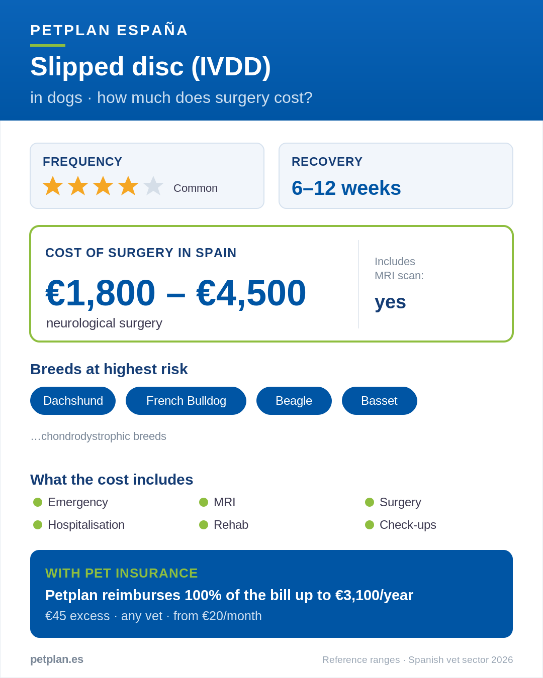 Infographic: cost of slipped disc (IVDD) surgery for a dog in Spain