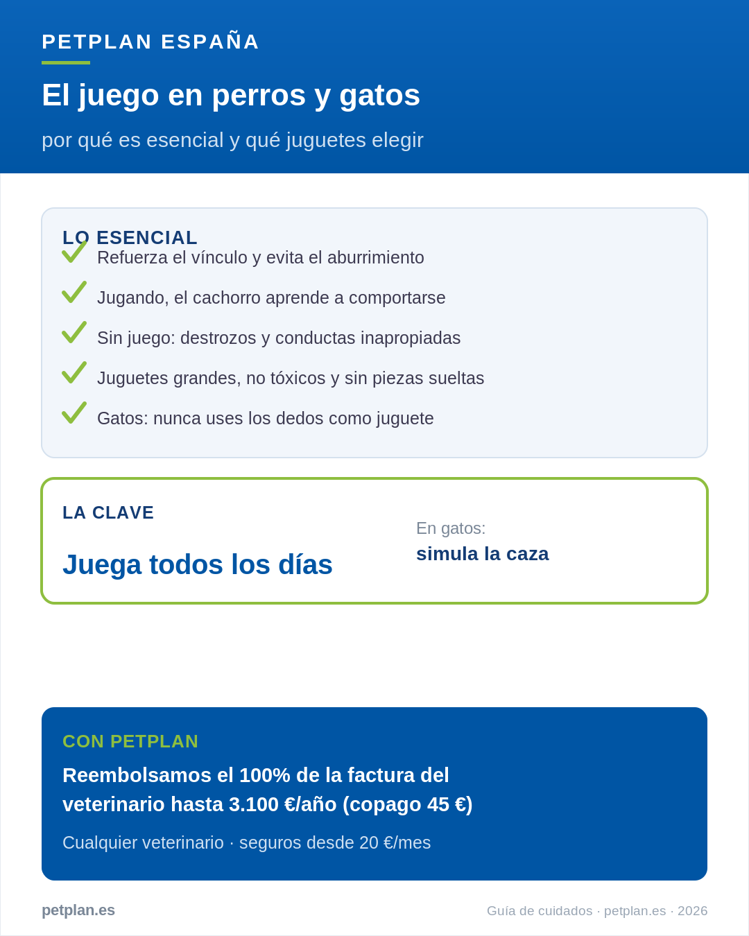 Infografía: el juego en perros y gatos