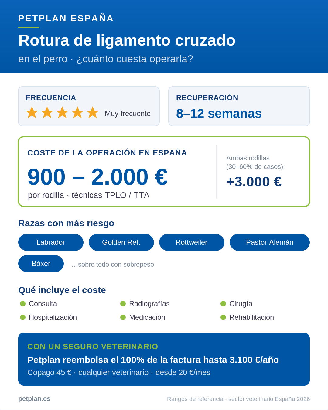Infografía: coste de operar la rotura de ligamento cruzado en un perro en España