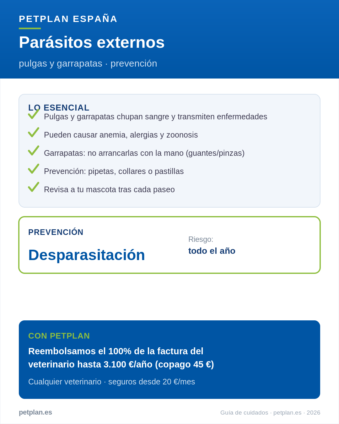 Infografía: parásitos externos en perros y gatos (pulgas y garrapatas)