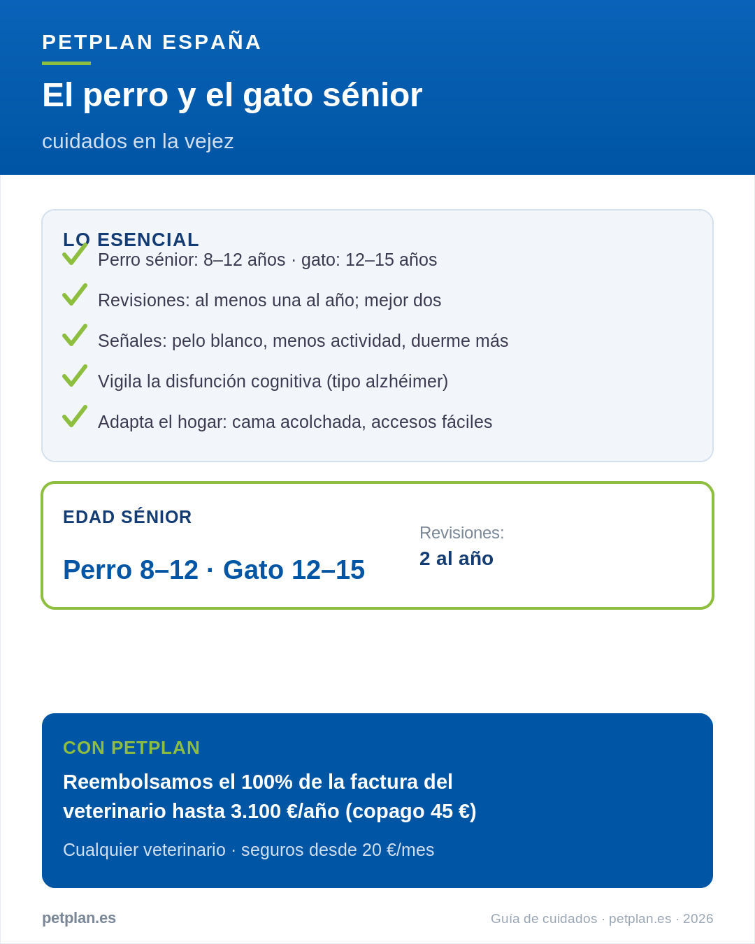 Infografía: cuidados del perro y gato sénior