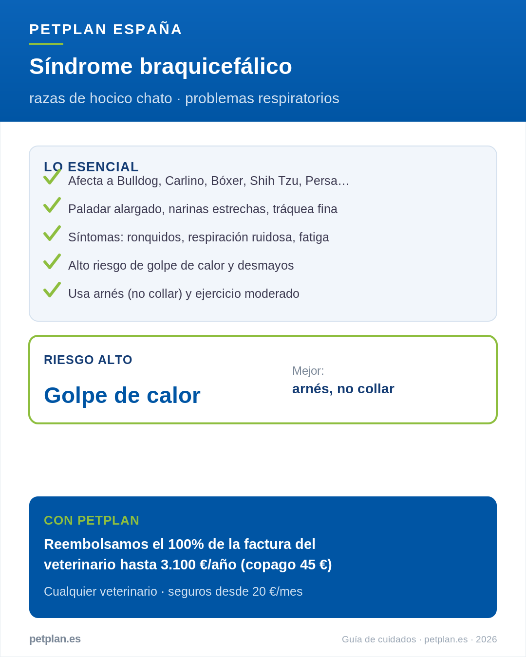 Infografía: síndrome braquicefálico en perros y gatos
