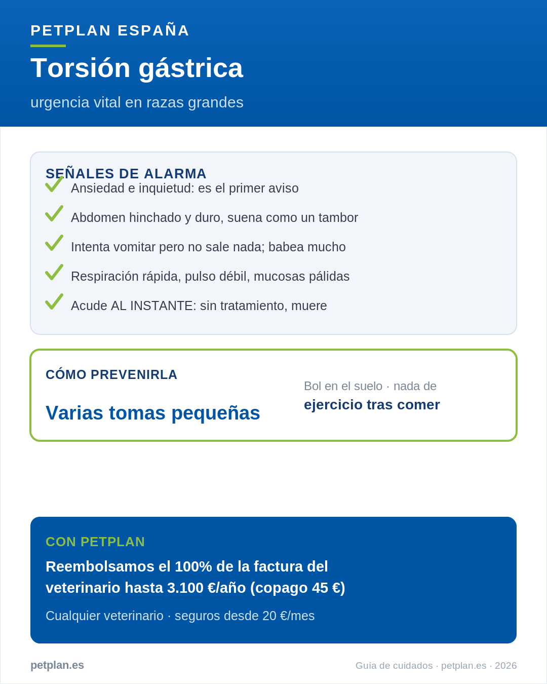 Infografía: torsión gástrica en perros, señales de alarma y prevención