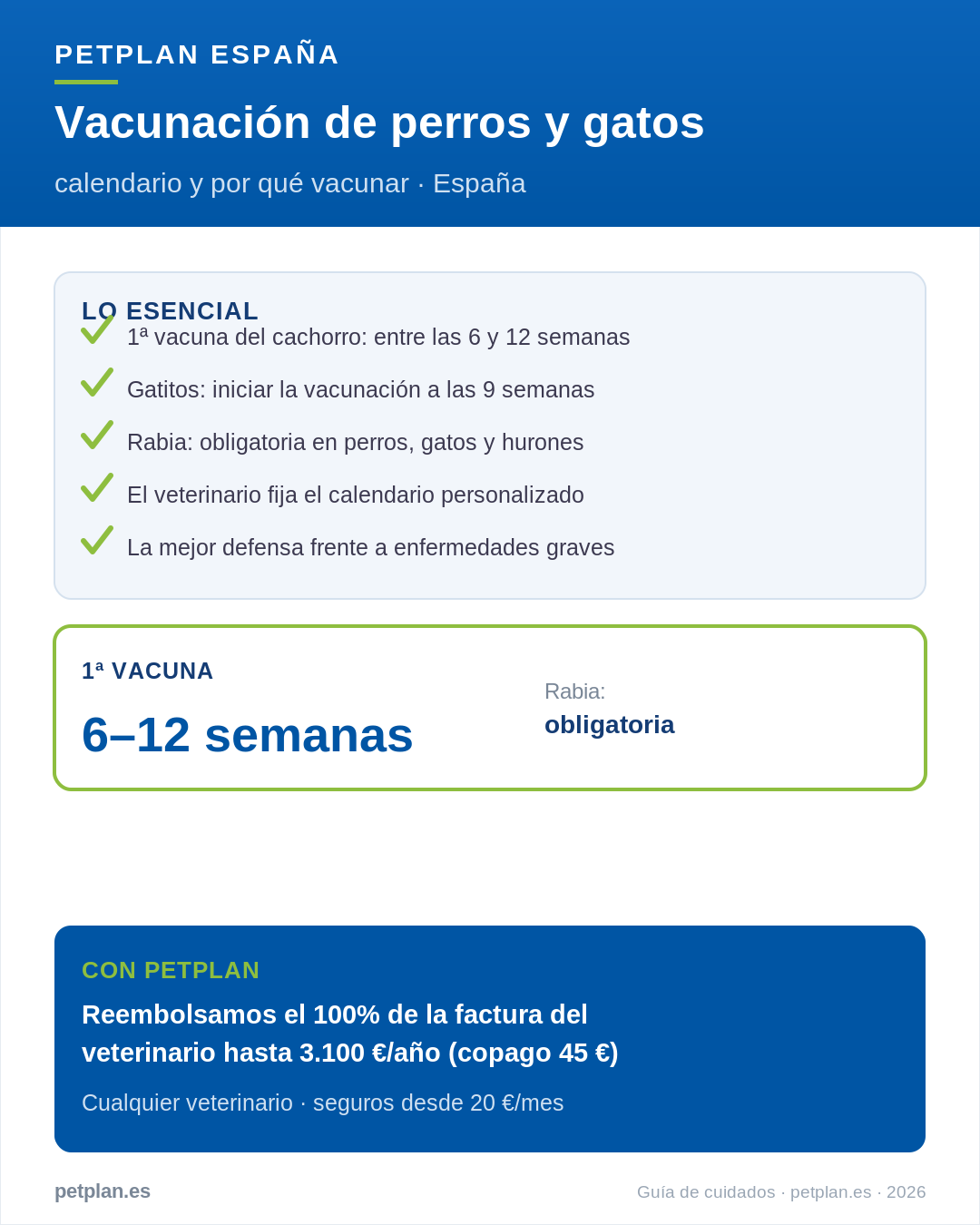 Infografía: vacunación de perros y gatos en España