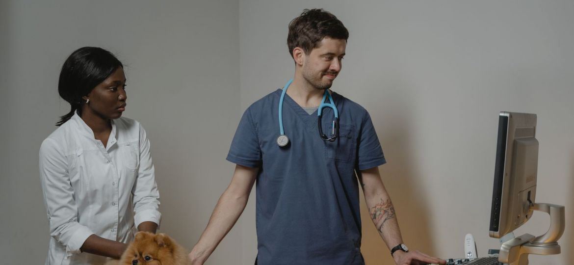 Veterinarios preparando una ecografía a un perro en la clínica