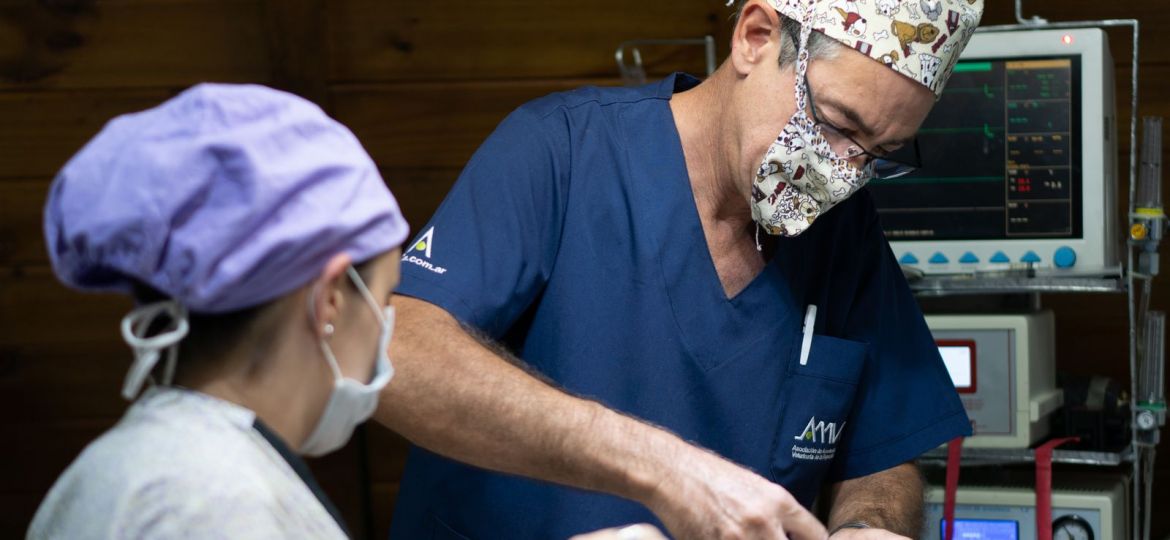 Equipo veterinario realizando un procedimiento en quirófano