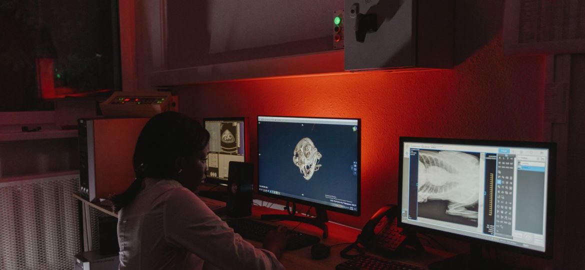Veterinaria revisando radiografías de una mascota en la pantalla